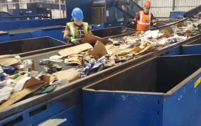 Revolutionizing Waste Management: The Role of Recycling Conveyors